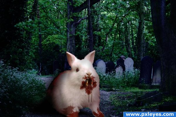 Killer Bunny